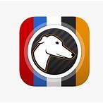 greyhound bet app